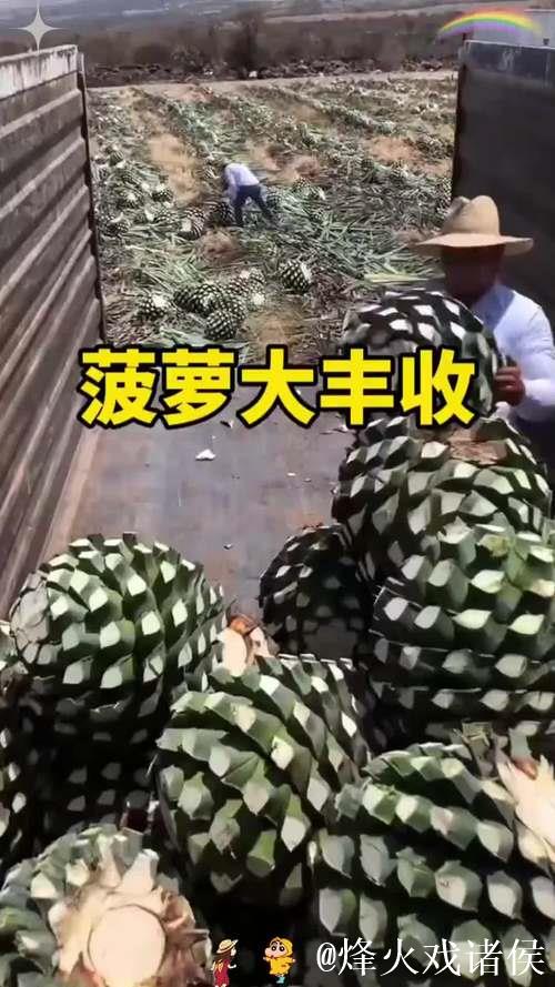 “大菠萝视频精彩内容一网打尽” “大菠萝视频精彩内容一网打尽”